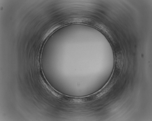 X0000067830794200604271553