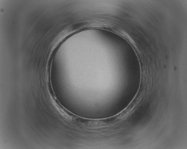 X0000067830795200604271553