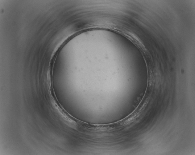 X0000067830796200604271553