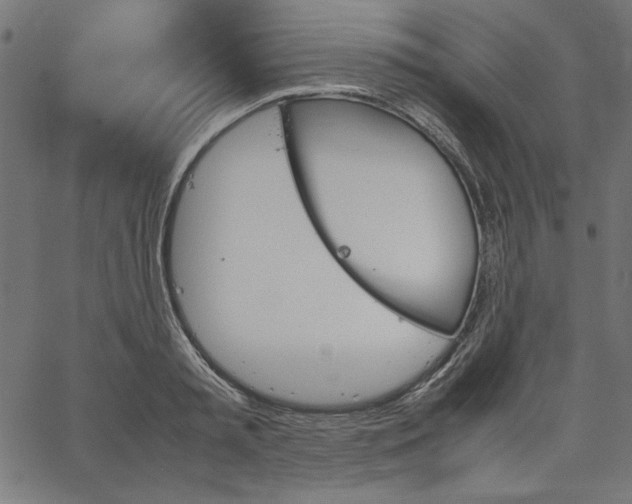 X0000067830797200604271553