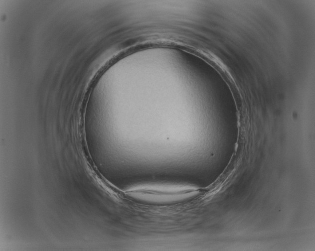 X0000067830799200604271553