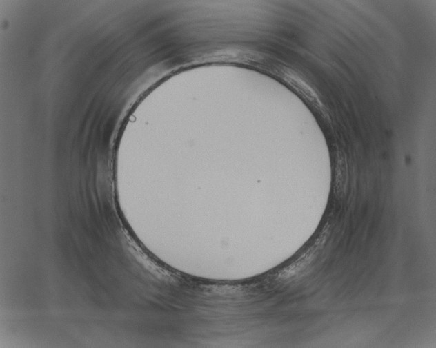 X0000067830800200604271553