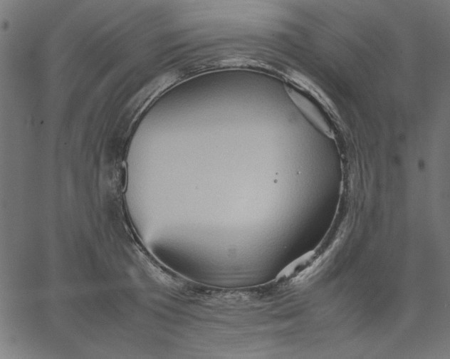 X0000067830801200604271553