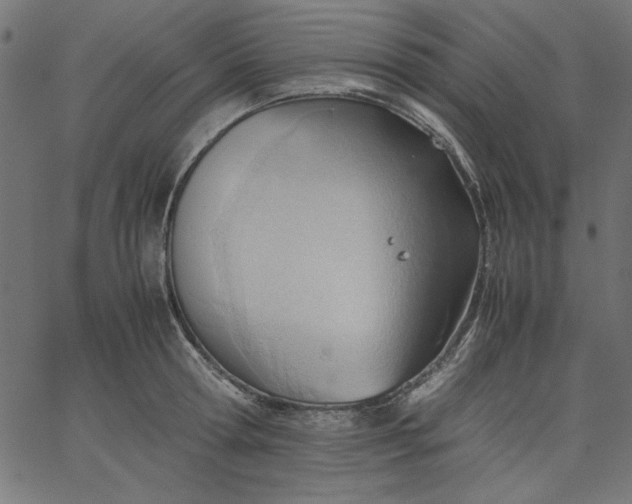 X0000067830802200604271553