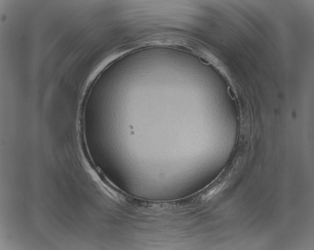 X0000067830803200604271553