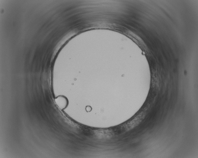 X0000067830804200604271553