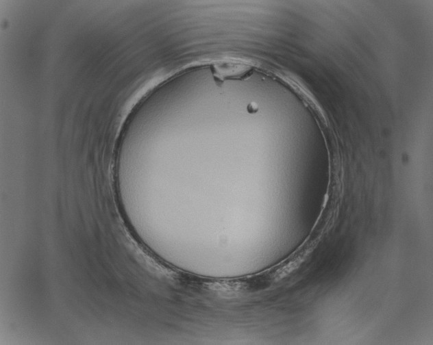 X0000067830805200604271553