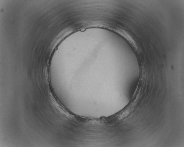 X0000067830806200604271553