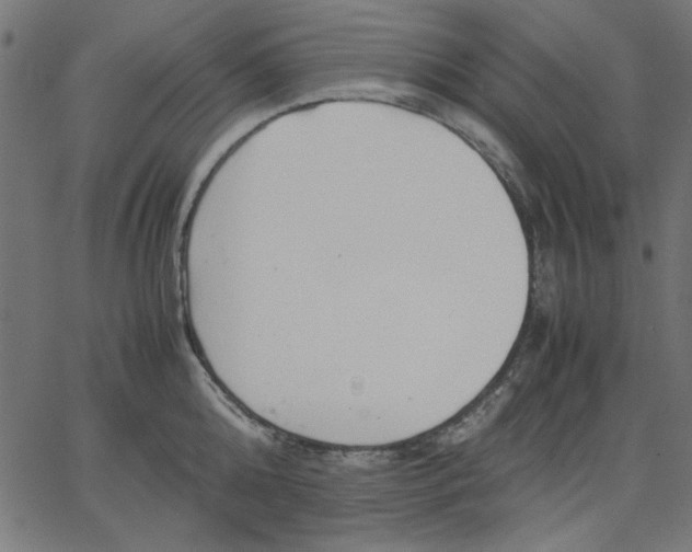 X0000067830808200604271553