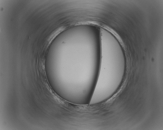 X0000067830809200604271553