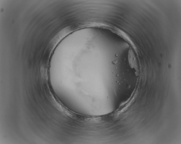 X0000067830810200604271553