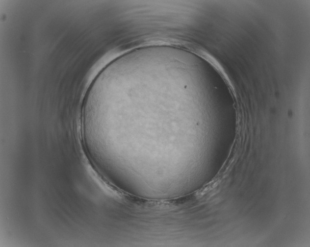 X0000067830811200604271553