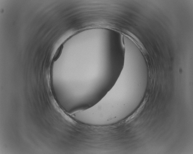 X0000067830812200604271553