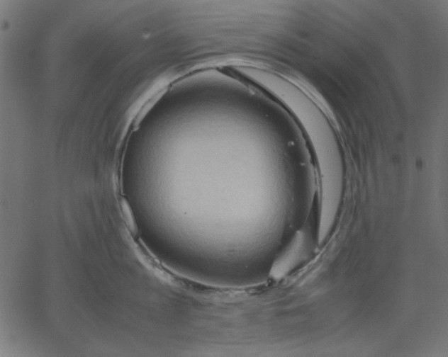 X0000067830813200604271553