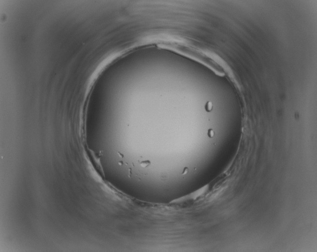 X0000067830815200604271553