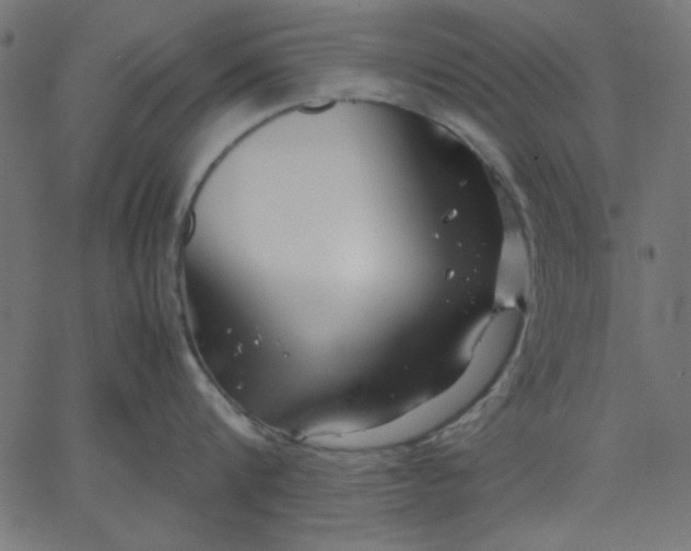 X0000067830816200604271553