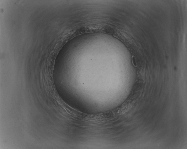 X0000067830817200604271552