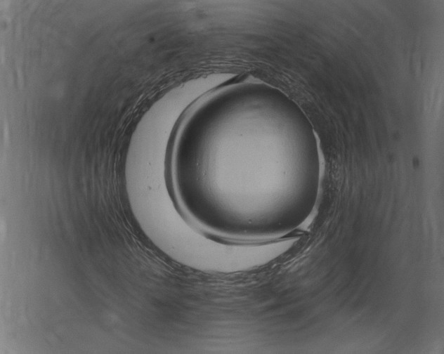 X0000067830818200604271552