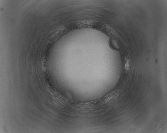 X0000067830819200604271552