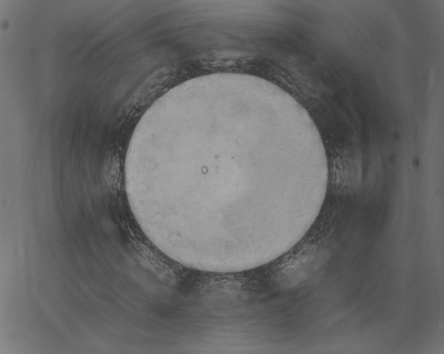 X0000067830820200604271552