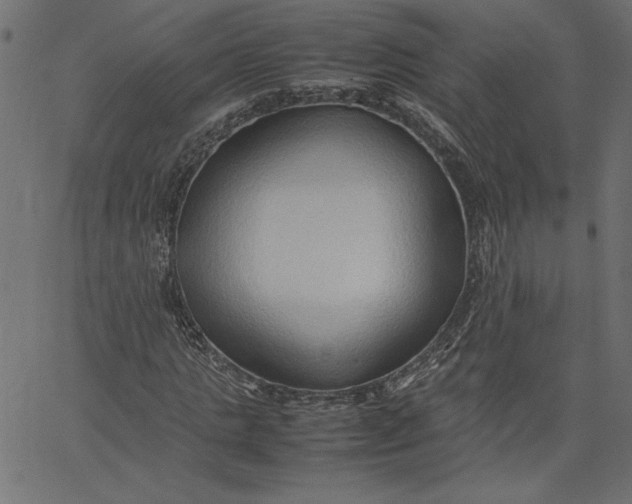 X0000067830821200604271552