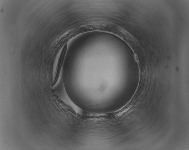 X0000067830822200604271552