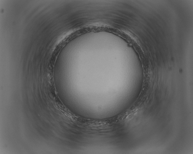 X0000067830823200604271552