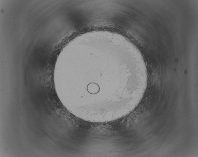 X0000067830824200604271552