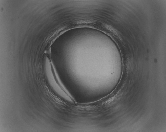 X0000067830825200604271552