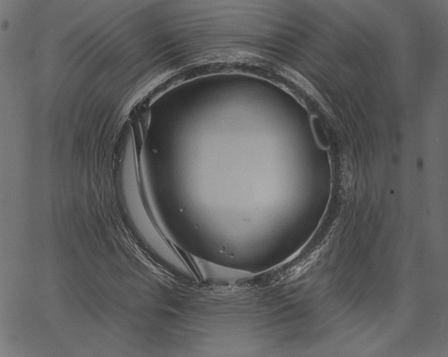 X0000067830826200604271552