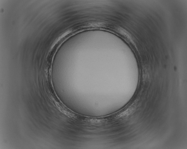 X0000067830827200604271552