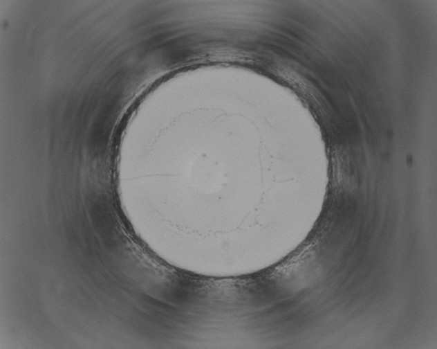 X0000067830828200604271552