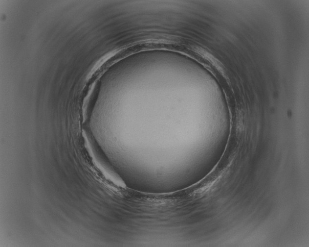 X0000067830829200604271552