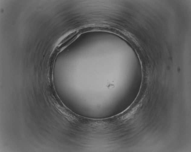 X0000067830830200604271552