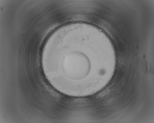 X0000067830832200604271552