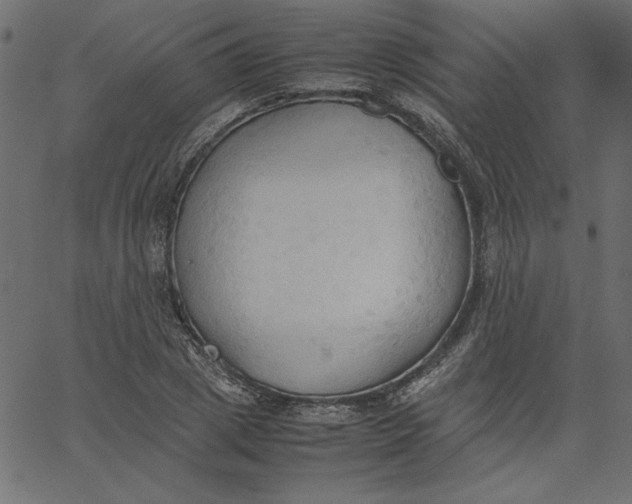 X0000067830833200604271552