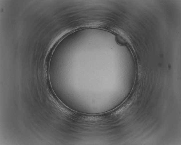 X0000067830835200604271552