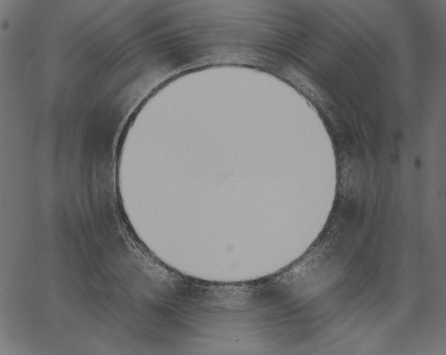 X0000067830836200604271552