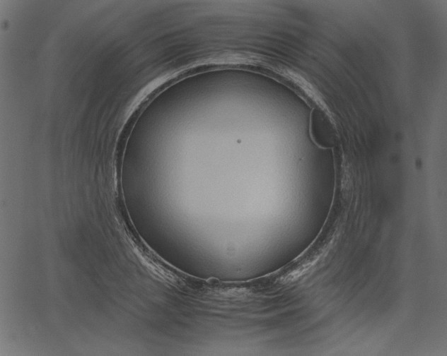 X0000067830837200604271552