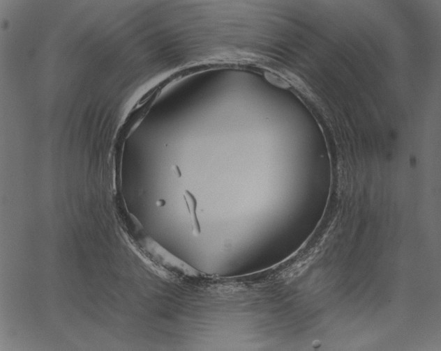 X0000067830838200604271552