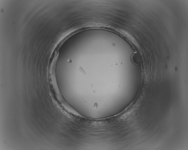 X0000067830839200604271552