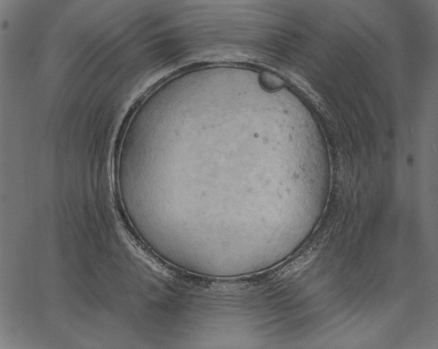 X0000067830840200604271552