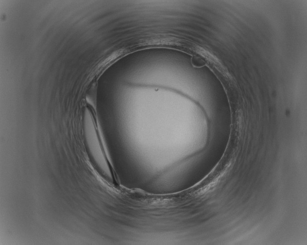 X0000067830841200604271552