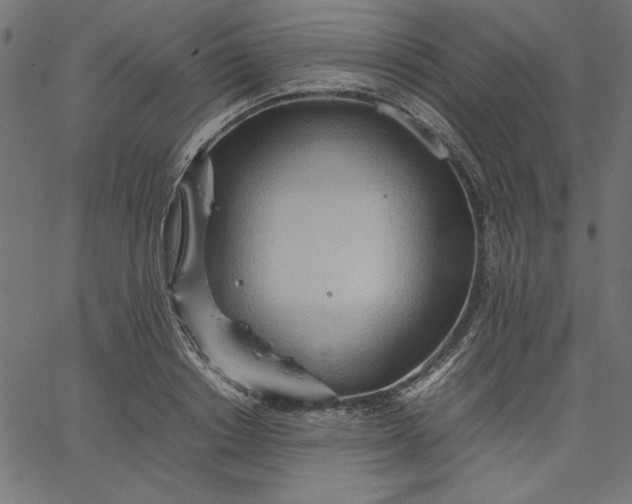 X0000067830842200604271552