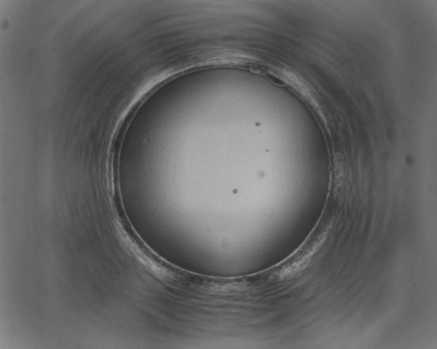 X0000067830843200604271552