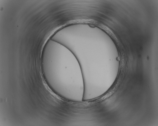 X0000067830844200604271552