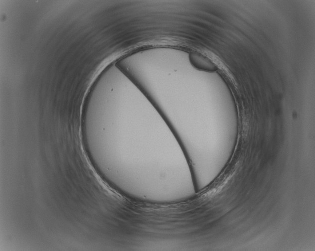 X0000067830845200604271552