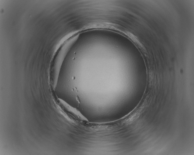 X0000067830846200604271552