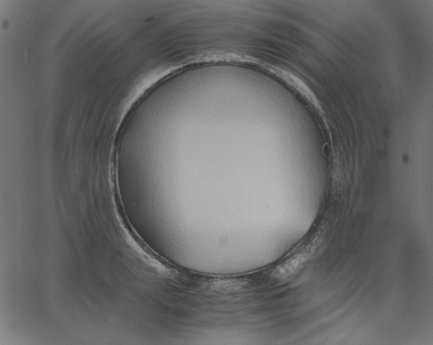 X0000067830847200604271552