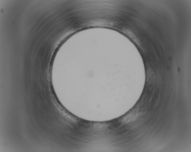 X0000067830848200604271552